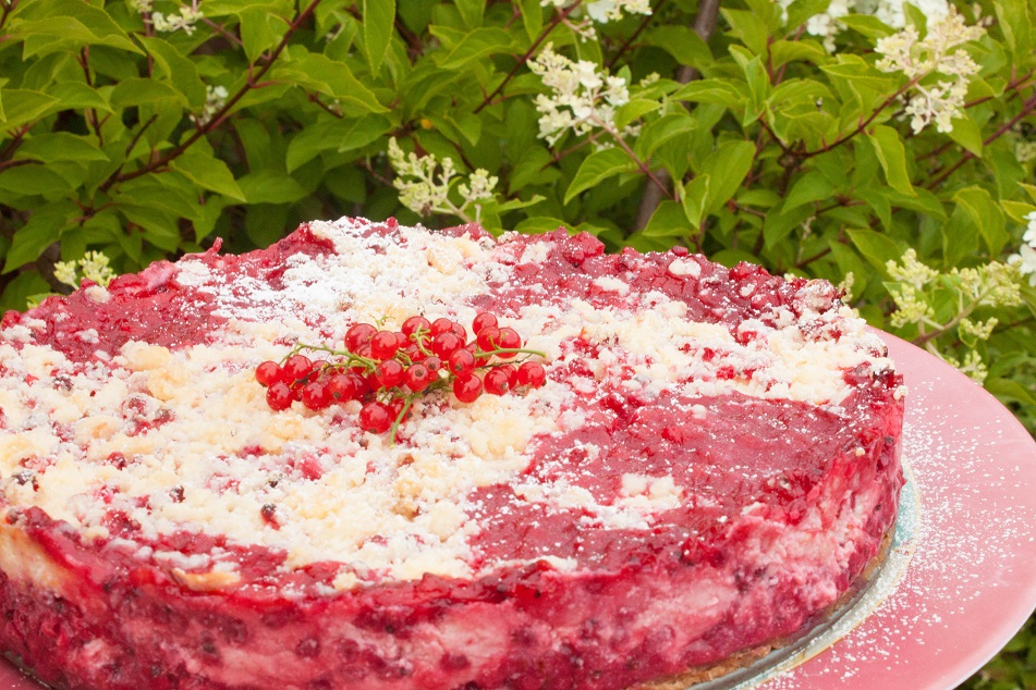Red Currant Cheese Cake